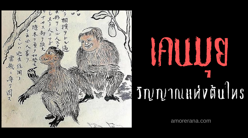 ตำนานผีญี่ปุ่น เคนมุย (Kenmun) วิญญาณแห่งต้นไทร