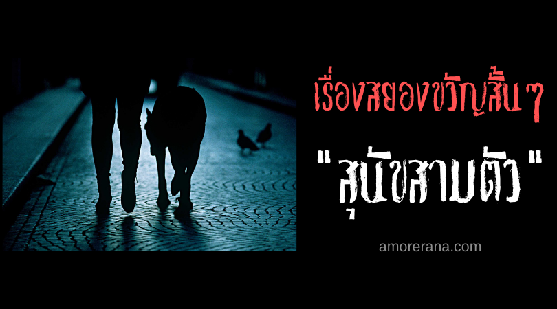 เรื่องสยองขวัญสั้นๆ “สุนัขสามตัว”