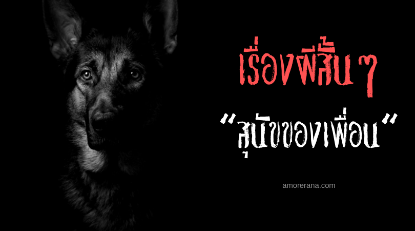 เรื่องผีสั้นๆ “สุนัขของเพื่อน”