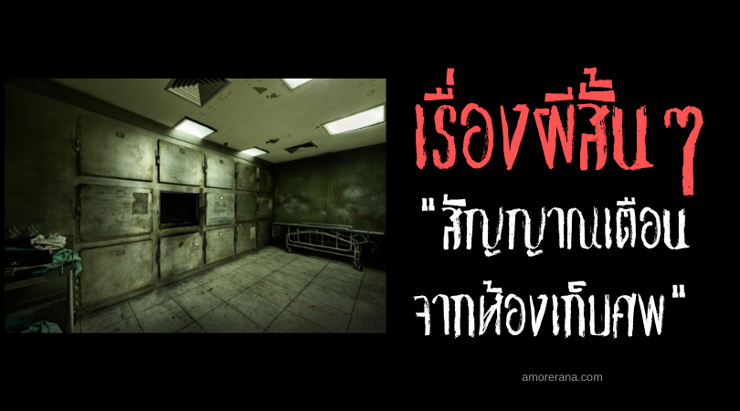 เรื่องผีสั้นๆ “สัญญาณเตือนจากห้องเก็บศพ”